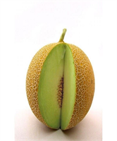 Kavundan sonra soğuk su içmeyin Kefir yoğurt süt tüketmeyin Emziren kadınlar da dikkatli olmalı Çünkü kavun Anne Sütü ile çocuğun midesini bozarak çocuğa rahatsızlık verir