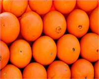 Açıkça söylemek gerekirse portakal kabuğunun sağlık açısından olan faydaları toplumumuzca çok az bilinmekte Bu sebepten dolayı da bilinçlenmek gerekliliği ortaya çıkmaktadır