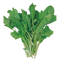 Tere Bronşları temizleyerek solunum ve dolaşım sistemlerini destekliyor