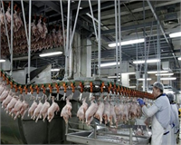 Var edilme gayeleri her bir zerrelerinden olabildiğince faydalanmaktır