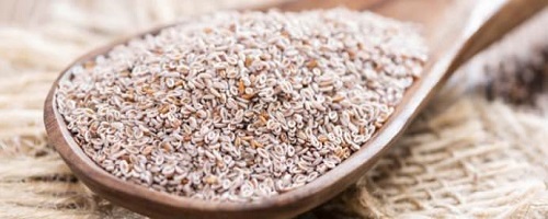 Psyllium Plantago ovata bitkisinin öğütülmüş tohumlarından elde edilen psyllium oldukça fazla miktarda lif içermektedir Ayrıca bu bitkinin içerdiği lif ince bağırsak ve kolon üzerinde absorbe edilmediği oldukça fazla su emilimi sağlayıp dışkının dışarıya itilmesini sağladığı için kabızlık için ideal bir besindir
