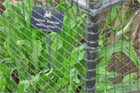 Ne diyelim yolunuz bir gün o taraflara düşerse bahçeyi kesinlikle ziyaret edip eşsiz bir deneyim yaşamanızı öneririz Tabii dikkatli olmak kaydıyla