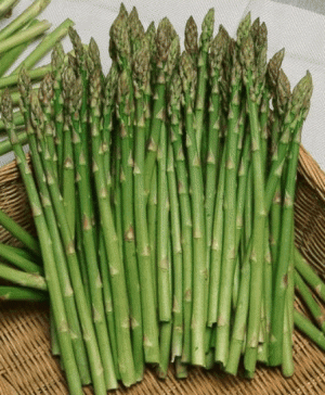 Kuşkonmaz Zeytinyağlı aş salata veya çorba olarak tüketilmektedir Özellikle Akdeniz ülkelerinin şifalı bitkilerindendir A B C vitaminleri dışında kalsiyum magnezyum ve demir bakımından da zengindir Soğuk algınlığı hazımsızlık şişkinlik ve ödem atılmasına yardım eder Ayrıca karaciğer ve safra kesesi için de yararlıdır Lif açısından zengindir içeridiği kalsiyum sebebi ile kemikleri güçlendirir Bağırsak florasında probiyotik bakterilerin çoğalmasını destekler böylece sindirimi güçlendirir DİKKAT Kuşkonmaz bitkisi yüksek oranda pürin içerdiği için böbrek yetmezliği ve gut hastalığı olanlar bu şifalı bitkiyi tüketmemeli