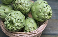 Fevzi Özgönül ömrünüze ömür katan 10 yeşil besini şöyle sıraladı Enginar Karaciğer dostu olarak bilinen enginar yapılan araştırmalar sonucunda içerdiği vitamin ve mineral yoğunluğu ve anti toksin sıfatı ile birçok hastalıkta destek tedavi olarak da bilhassa yapraklarından besin desteği olarak faydalanılmaktadır Enginar aynı zamanda mide ve sindirim sistemi dezenfektanı olarak da bilinmektedir Bunun dışında kalp hastalıklarında romatizma ve gut da safra kesesi ve karaciğer rahatsızlıklarında faydalıdır Enginar yemeği yaparken sadece taban bölümü değil yapraklarının da pişirilip dip kısmının sıyrılarak yenmesi tavsiye edilir