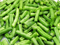 Taze fasulye Vitamin mineral ve antioksidan bakımından oldukça varlıklı bir sebze olduğu için bilhassa mevsiminde haftada 2 kez bilhassa öğlen öğünlerinde etli veya zeytin yağlı olarak tüketilmesi önerilmektedir Kalorisi düşük yağ bakımından yoksul bir sebze olsa da bol lifli yapısı sebebi ile başka gıdaların sindirimine yardımcı olduğu ve sindirim sisteminin daha rahat çalışmasını sağladığı için ayrıca fena kolesterolün bağırsaktan emilimini engellediği için yararlı bir yiyecektir Özellikle A vitamini yönünden zengindir ten ve göz sağlığı için yararlıdır İçerdiği Lutein zea xantin ve Beta karoten gibi anti oksidanlar sayesinde vücutta bulunan serbest radikallerin zararlı etkilerini yok eder yaşlanmayı geciktirir ve bağışıklık sistemini güçlendirir