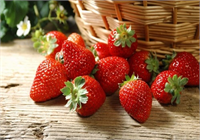 Çok iyi bir antioksidan olması sebebiyle bağışıklık sistemini güçlendirir