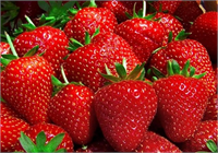 Yaz aylarının vazgeçilmez meyvesi çileğin faydalarının saymakla bitmeyeceğini belirten uzmanlar rengi kokusu ve tadı ile en sevilen meyvelerden biri olan çilekte bol miktarda fosfor ve demir bulunduğuna dikkat çekti