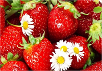 İyice yıkanmaması durumunda ise böbreklerde kum oluşmasına sebep olabilir