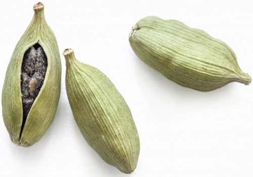 Bronşite çok yararlı olup boğazları yumuşatıcı özelliği vardır