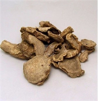 Zulumba Mide rahatsızlıkları ve hemoritte kullanılır