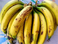 Eğer böyle bir sağlık sorununuz varsa muz tüketiminde porsiyon kontrolü sağlamayı ve yanında protein kaynağı ile tüketmeyi unutmayınız şeklinde konuştu