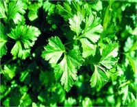 Gıdaları doğru şekilde tüketin