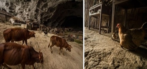 Hükümet Çin mağara adamlarından oluşan bir toplum değildir gerekçesiyle 2011 de köy okulunu kapattı