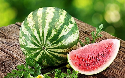 Kapladığınız karpuzu içinde saman ya da gazete kağıtları dolu bir kutuya koyup üstünü kapatın
