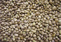 Salataların üzerine serpebilir çorba ve yemeklerinize katabilirsiniz