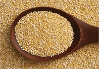 Özellikle salam sosis gibi işlenmiş kırmızı et yerine bakliyat taze fasulye kinoa gibi bitkisel protein içeren besinler tüketmenin daha düşük ölüm oranları ile ilişkilendiğini tespit etti