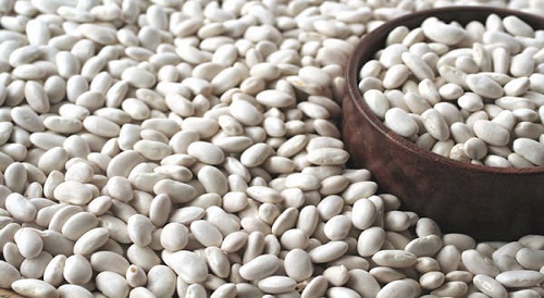 Fasulye 1 bardak pişmiş fasulye yaklaşık 15 g protein içeriyor