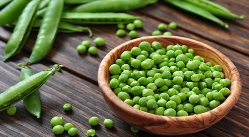 Bezelye 1 bardak bezelye 15 g protein içeriyor