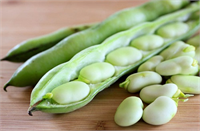Fava 1 bardak fava fasulyesi yaklaşık 10 g protein sağlıyor