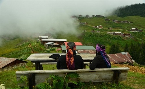 En eskisi 250 senelik olan 50 civarında yöresel ahşap evin bulunduğu geniş çam ormanlarıyla çevrili 2 bin 170 rakımlı Pokut Yaylası trekking yapmayı sevenlerle fotoğrafçıların vazgeçemedikleri yerler arasında bulunuyor