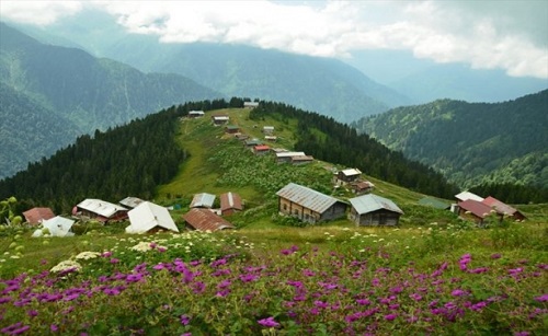Rize nin Çamlıhemşin ilçesinde bulunan Sal ve Pokut yaylaları eşsiz güzellikleriyle her geçen gün daha fazla doğa tutkununun ilgisini çekiyor