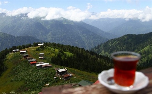 Oya Doğaner de yeşilin her tonu her renkte çiçeği ladin ağaçları bol oksijeni insanlarının sıcakkanlılığı gibi kelimelerle anlatılmayacak güzellikleri Rize de yaşama imkanı buldukları için çok mutlu olduğunu söyledi