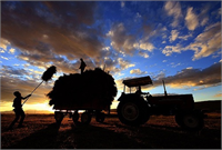 Su tüketiminde aslan payı tarım sektörüne ait Dünyadaki su kaynaklarının yüzde 70 i tarımda kullanılıyor