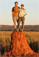 Yuva kraliçeden alınan emirlerden sonra tükürüklerle karıştırılan ve kuruduktan sonra neredeyse beton sertliğine ulaşan toprak parçaları ile milyonlarca işçi tarafından birkaç yılda inşa edilir