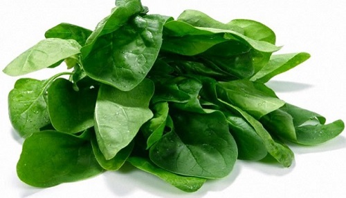 Çeşitli mineraller vitaminler lif protein ve antioksidanlar içermesi kanseri önlemeye kemikleri güçlendirmeye yardımcı olur ve sağlıklı bir cilde katkı sağlar Temel Reis in favori yiyeceği olmasına şaşmamalı