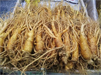 Menopoz semptomları