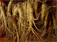 Kalp hastalıkları şeker hastalığı diyabet ve daha pek çok hastalığa iyi gelmektedir