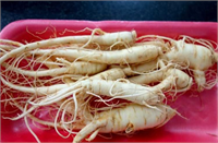 Bir bardak kadar suyu kaynattıktan sonra bir süre ılıklaşmasını bekleyin ve daha sonra bardaktaki rendelenmiş kesilmiş ginsengin üzerine dökün