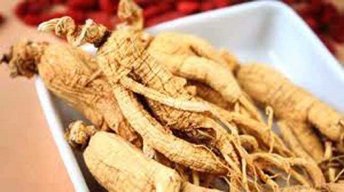 Kökleri insan vücuduna benzediğinden dolayı insan otu ismini alan ginseng in 5 bin yıllık geçmişi bulunuyor