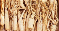 Ginseng vücudun hem fiziksel hem de ruhsal stres ile savaşmasına yardımcı olur