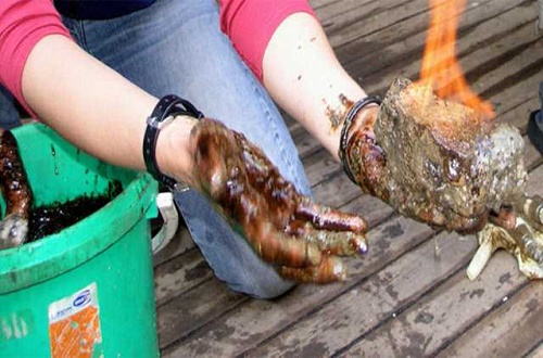 Gaz hidratların fiziksel özelliklerine de değinen Çifçi 1 metreküp gaz hidtrattan 164 metreküp metan gazı elde edildiğini ve verimin mevcut doğalgaz ve petrole göre oldukça yüksek olduğuna işaret etti Çifçi sözlerini şöyle tamamladı