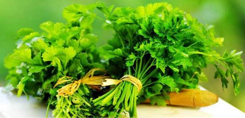Dereotu fosfor bakır magnezyum A ve C vitaminleri ile potasyum kalsiyum demir ve çinko yönünden çok zengindir