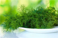 İşte yapılan bilimsel çalışmalar ışığında dereotu ve maydanozun sağlığa sunduğu katkılar