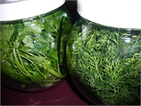 Romatizma ve eklem ağrılarına iyi gelir Maydanoz ile ilgili yapılan birçok araştırma maydanozun eklem ağrıları ve romatizmaya iyi geldiğini ortaya koymuştur Bunun yanı sıra enfeksiyon ve iltihaplara karşı da etkili bir besin kaynağıdır