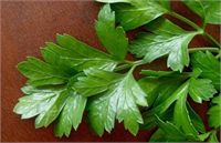 Yaşam şartları yanlış beslenme kötü alışkanlıklar ve genetik faktörler gibi sebepler kanser hastalığına neden olabiliyor Ancak uzmanlar yaptığı çalışmalarda maydanoz ve dereotunun birlikte yendiğinde ortaya çıkan Glaziovianin A adlı maddenin kanseri engellediğini belirtiyor