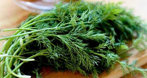 Bebek ve çocukların gaz sancılarının giderilmesine de yardımcıdır