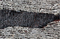 Köpekbalığı yüzgeci Çin de gurme olarak tüketilen bir yiyecek Fotoğrafta 10 000 den fazla köpek balığı yüzgeci kurumaya bırakılmış durumda