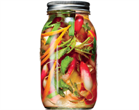 Kurutulan sebzeler veya meyveler bez torba ya da cam kavanozlarda serin ve karanlık yerlerde ve nem almayacak şekilde muhafaza edilmelidir