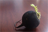 Hücre ve dokuları serbest radikallere karşı korur bu da kansere yakalanma riskini azaltır