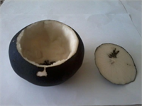 Öncelikle kara turpun içi bir miktar oyulur