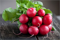 Kırmızı turp aşırı harareti giderebilir özellikle yaz aylarında vücutta meydana gelen harareti gidermek için tüketilebilir