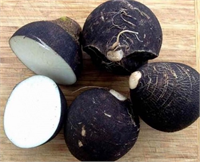 Kara turpun sağlık açısından faydalarını kısaca şu şekilde sıralayabiliriz