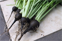 Kolesterolün yükselmesine neden olan ve karaciğerin fazla çalışmasının en büyük nedeni olan damar ve diğer organlardaki aşırı yağlanma sorunlarını ortadan kaldırarak kolesterol seviyesninin yükselmesine engel olabilir