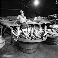 İstanbul un balık cenneti olduğu o yıllardan ise elimize ancak bu fotoğraflar kaldı Nasip