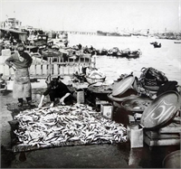 Yani şimdi balık sezonu da açılmışken