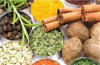 Yeni sistemle birlikte amblemli ürünler sadece eczanelerde satılacak